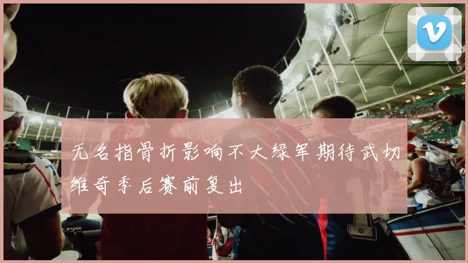 无名指骨折影响不大绿军期待武切维奇季后赛前复出